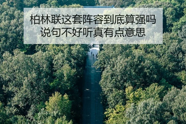 bo-lin-lian-zhe-tao-zhen-rong-dao-di-suan-qiang-ma-shuo-ju-bu-hao-ting-zhen-you-dian-yi-si-1-388.jpg