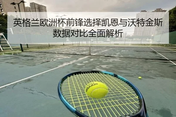 英格兰欧洲杯前锋选择凯恩与沃特金斯数据对比全面解析